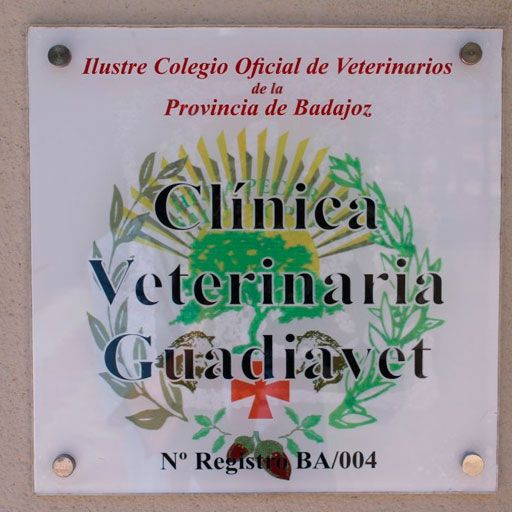 Guadiavet Clínica Veterinaria Clinica