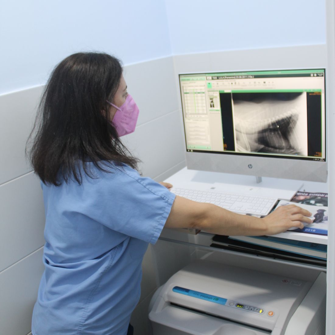 Guadiavet Clínica Veterinaria rayos X